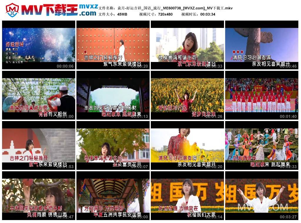 袁月-好运吉祥_国语_流行_ME600738